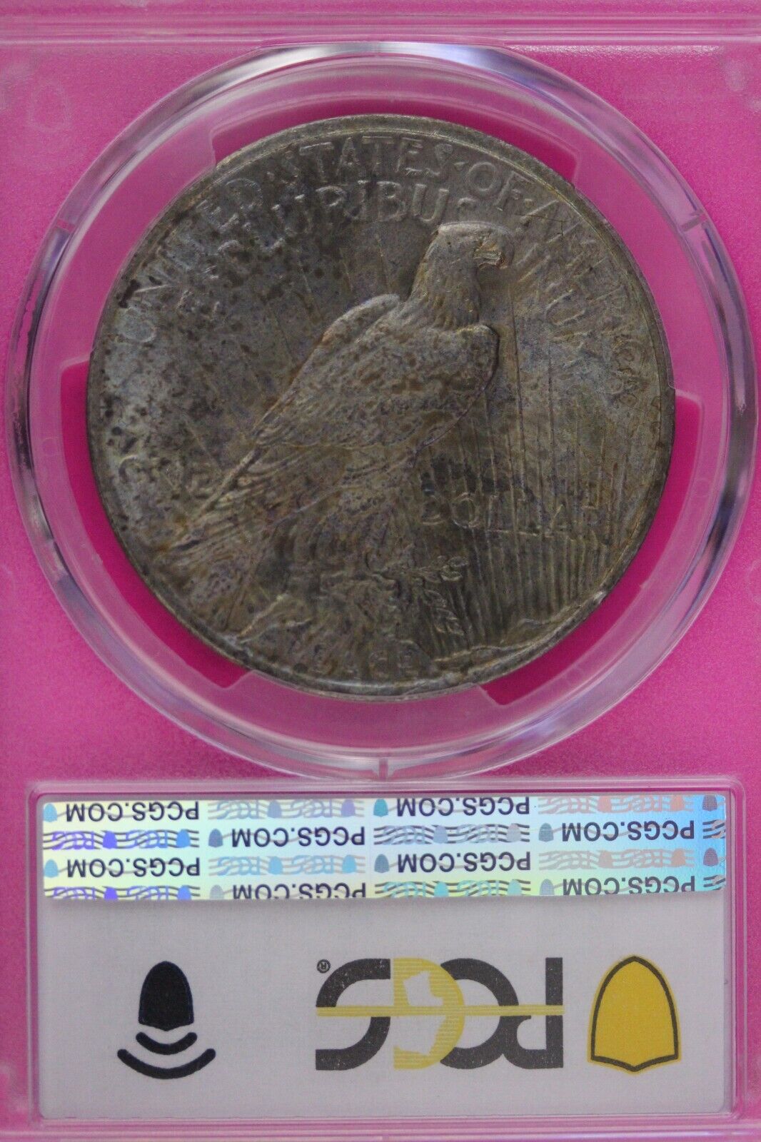 Toned 1923 P MS 63 Peace Silver Dollar PCGS Graded Certified Authentic Slab 271