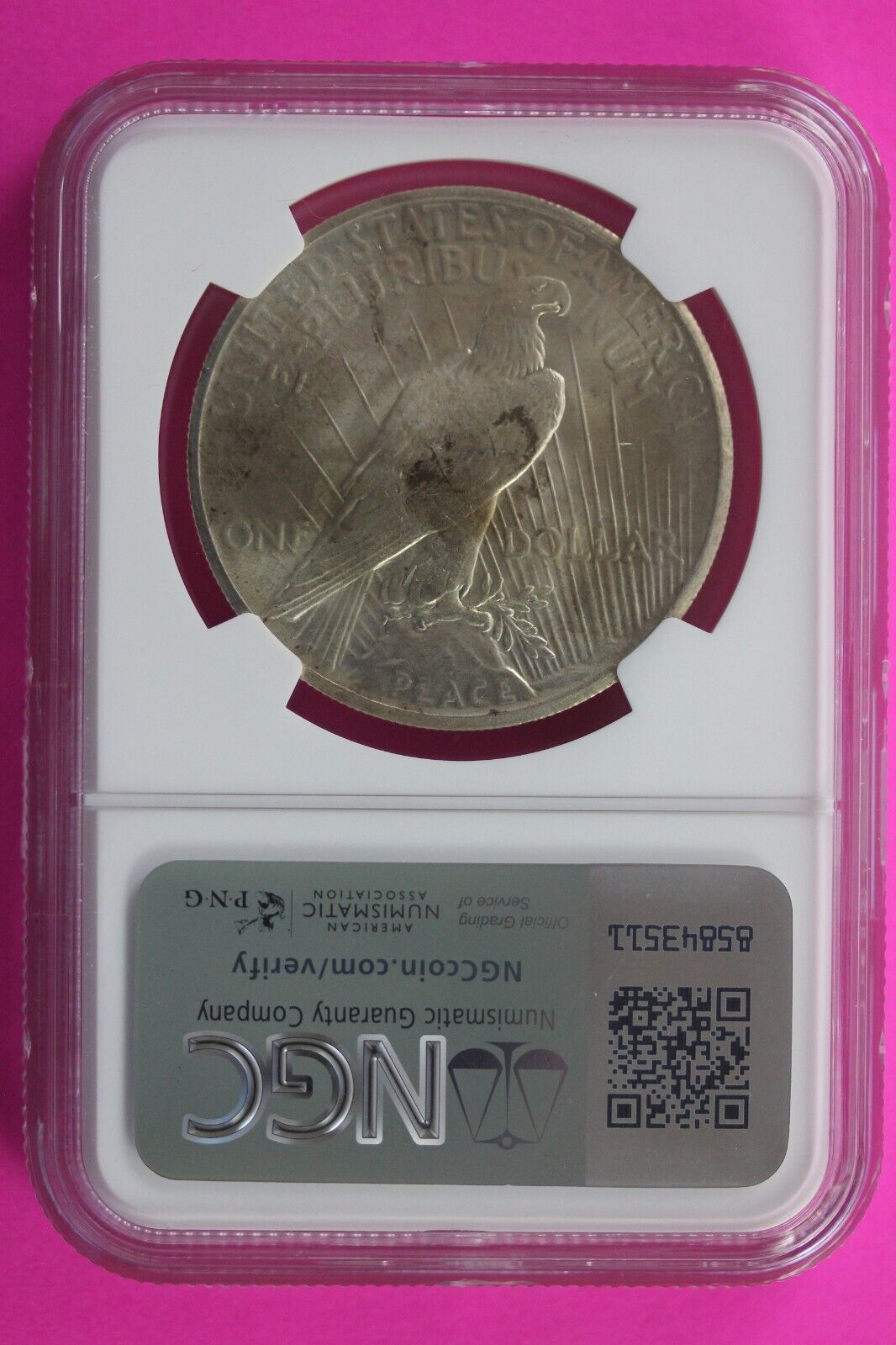1925 P MS 63 Liberty Peace Silver Dollar NGC Certified Authentic Graded Slab 133