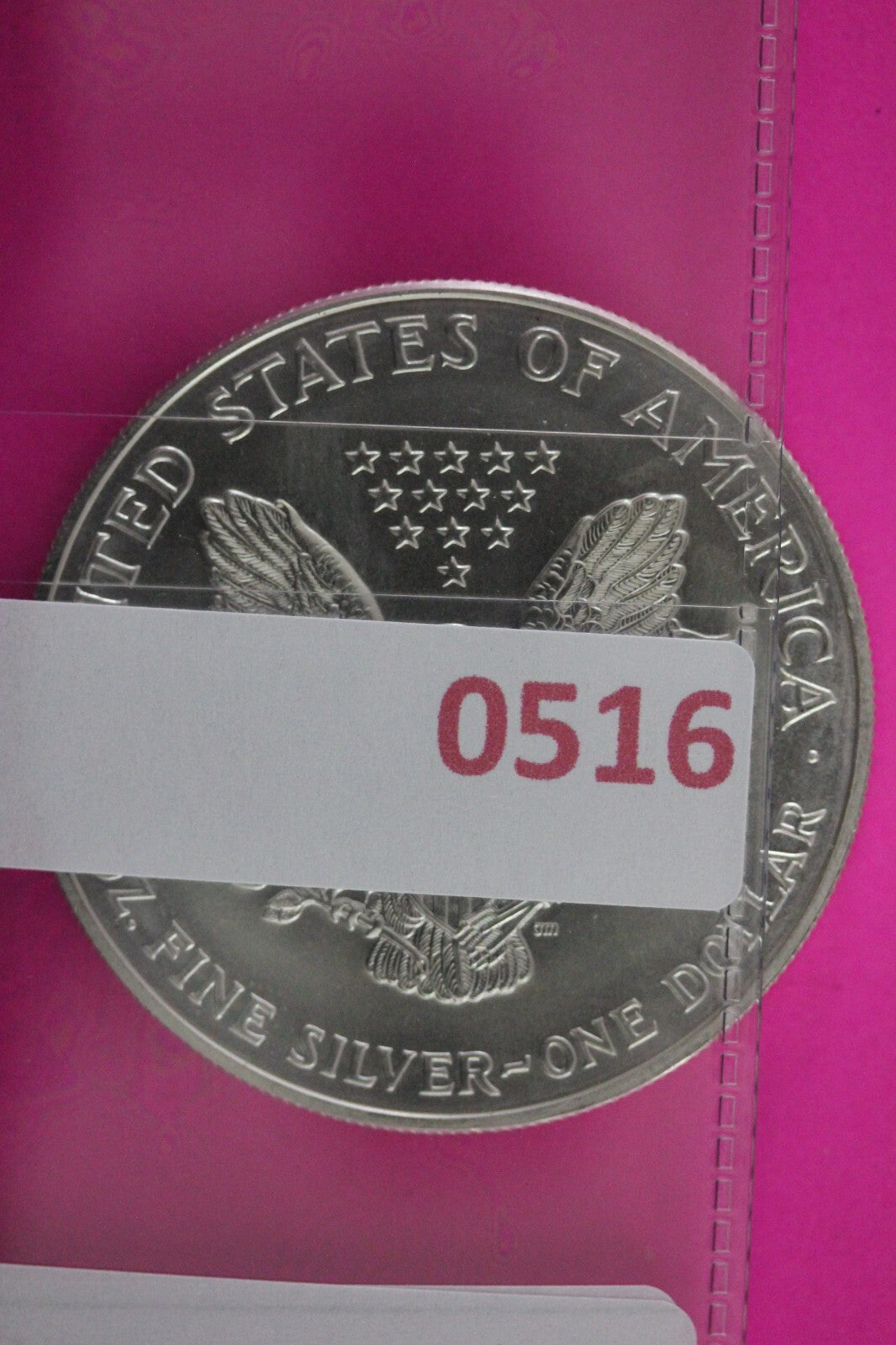 Colorized 2000 American Silver Eagle 1 Ounce .999 Fine Exact Coin Shown N0516