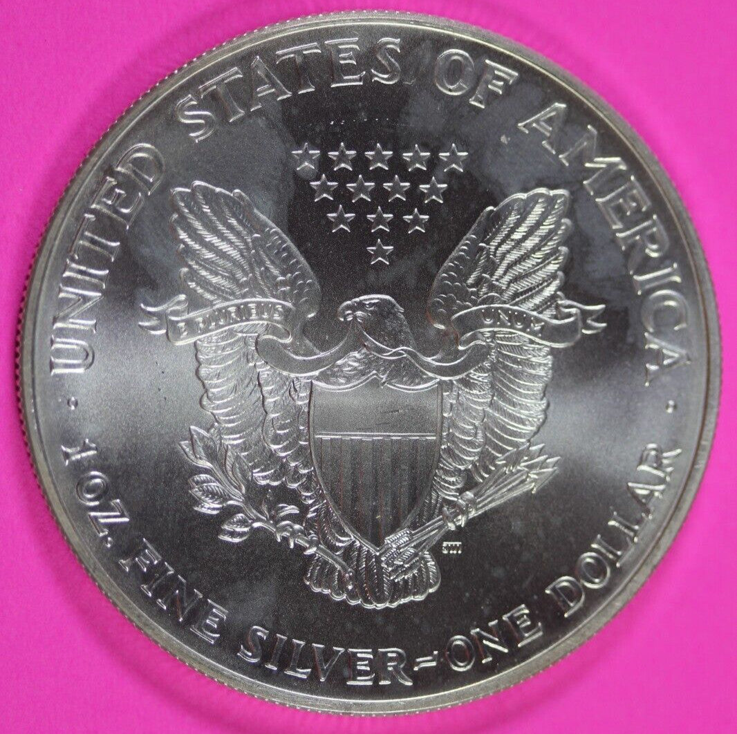 Colorized 2000 American Silver Eagle 1 Ounce .999 Fine Exact Coin Shown 165