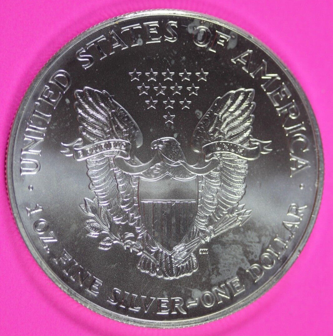 Colorized 1999 American Silver Eagle 1 Ounce .999 Fine Exact Coin Shown 181