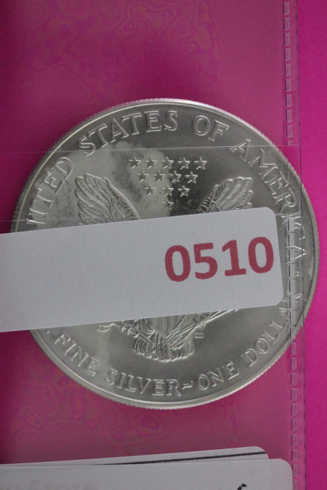 Colorized 2000 American Silver Eagle 1 Ounce .999 Fine Exact Coin Shown N0510