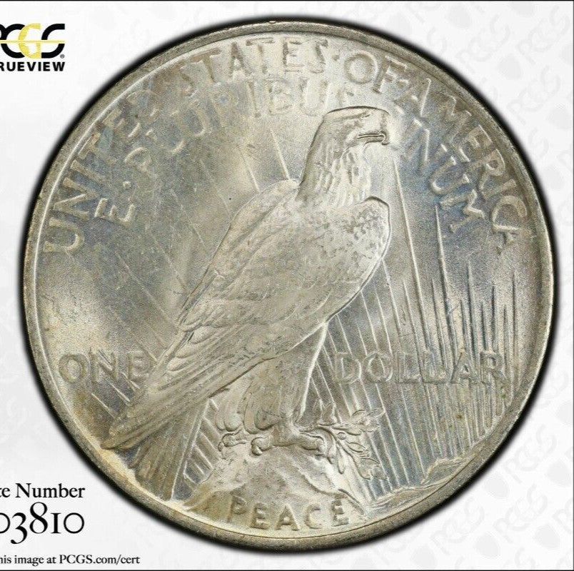 Toned 1923 P MS 62 Peace Silver Dollar PCGS Graded Certified Authentic Slab 48