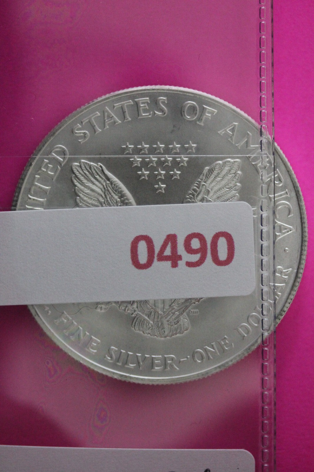 Colorized 1999 American Silver Eagle 1 Ounce .999 Fine Exact Coin Shown N0490