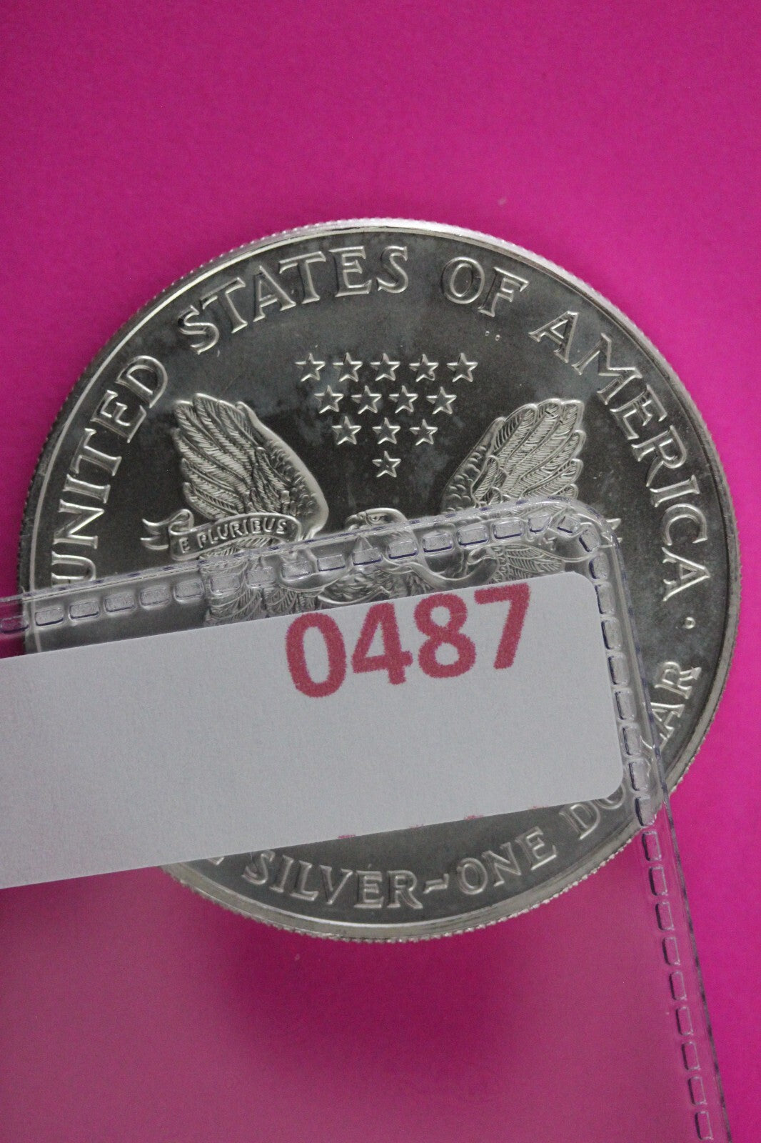 Colorized 1999 American Silver Eagle 1 Ounce .999 Fine Exact Coin Shown N0487