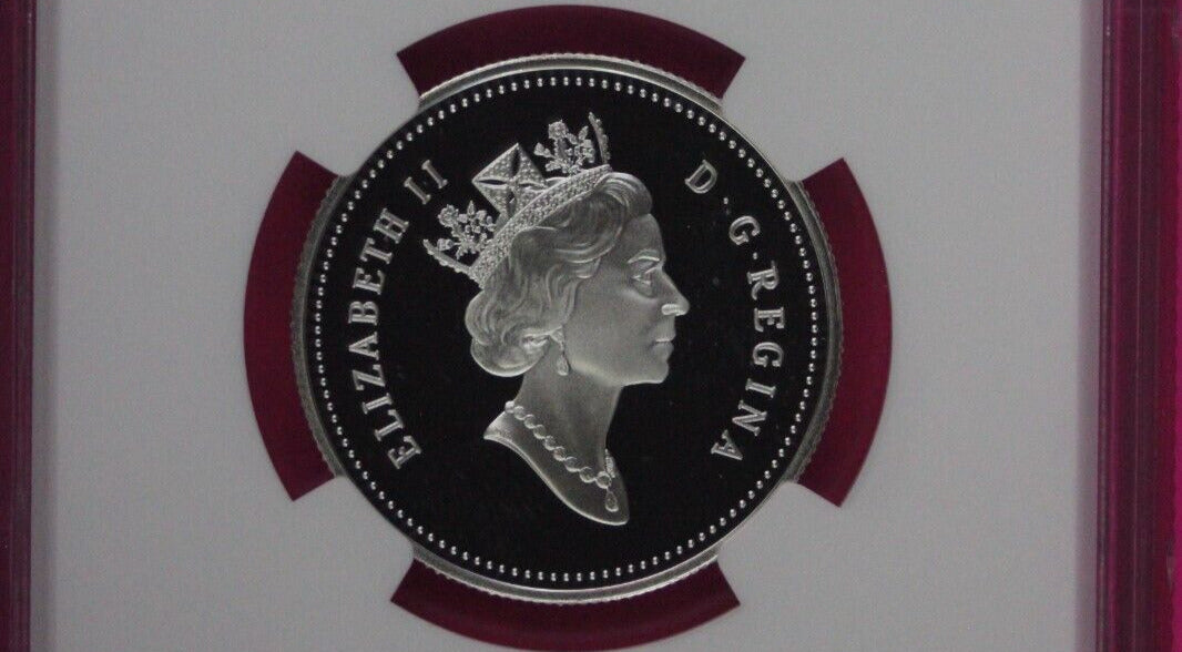 Top Pop 1996 PF 70 Ultra Cameo Canada Black Bear Cubs Silver 50c NGC Slab 1055