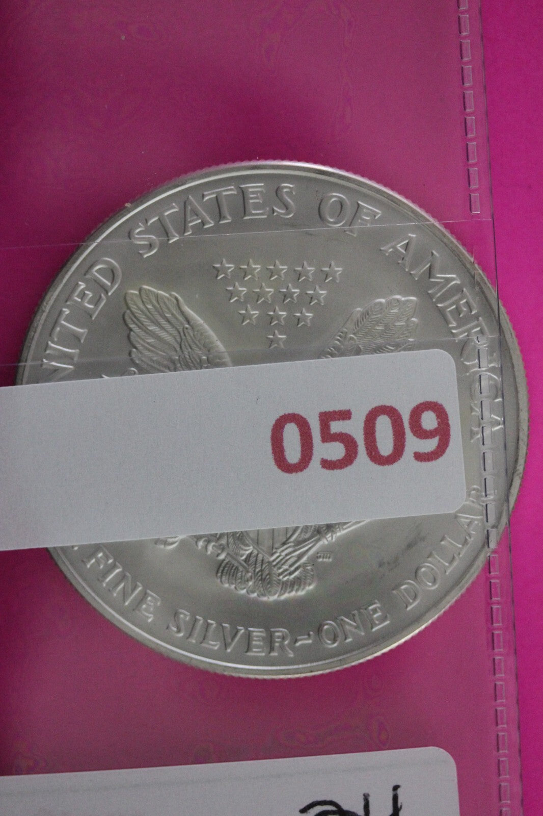 Colorized 2006 American Silver Eagle 1 Ounce .999 Fine Exact Coin Shown N0509