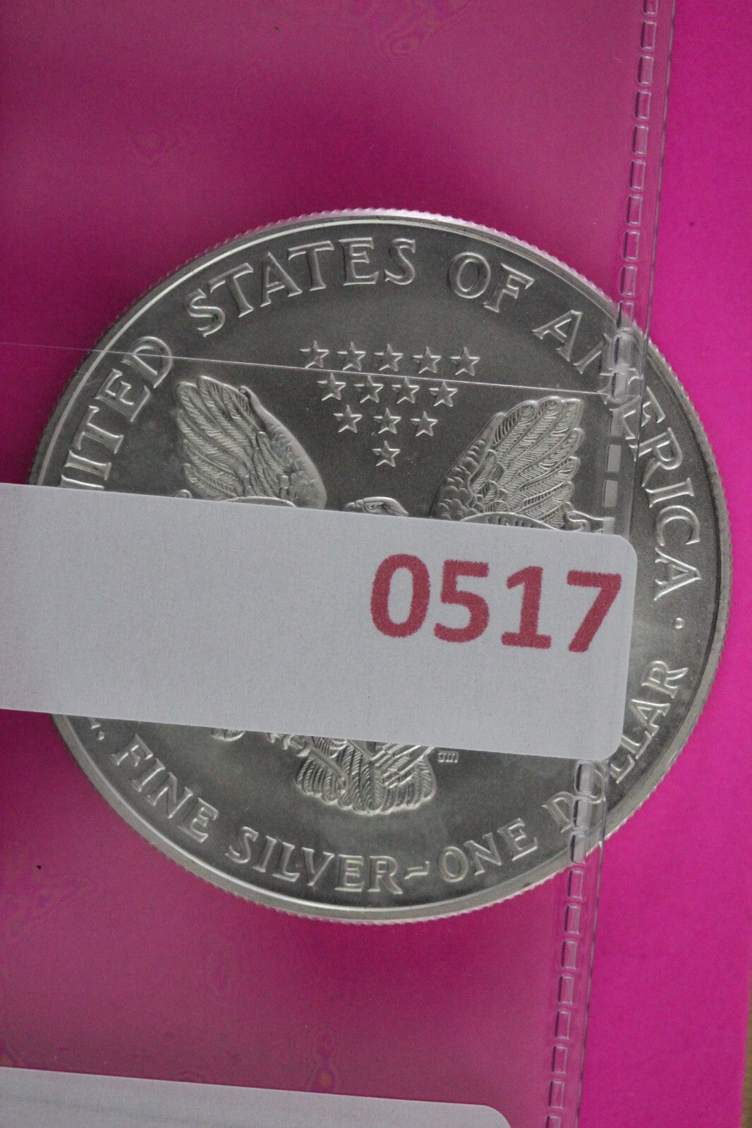 Colorized 1999 American Silver Eagle 1 Ounce .999 Fine Exact Coin Shown N0517