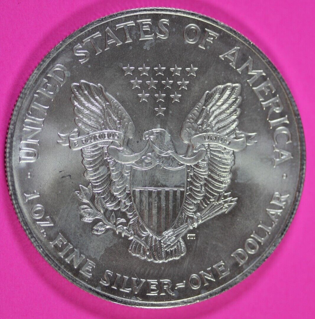 Colorized 1999 American Silver Eagle 1 Ounce .999 Fine Exact Coin Shown 153