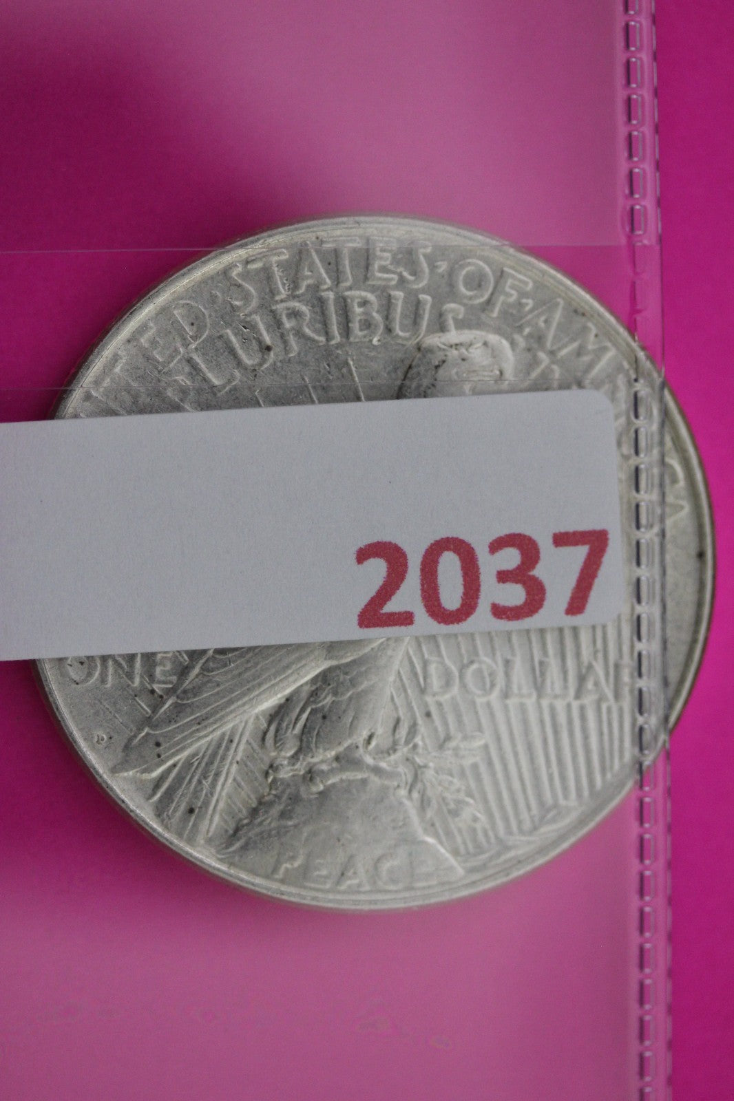 1923 D Peace Silver Dollar LIberty Coin Guaranteed Genuine American Seller 2037