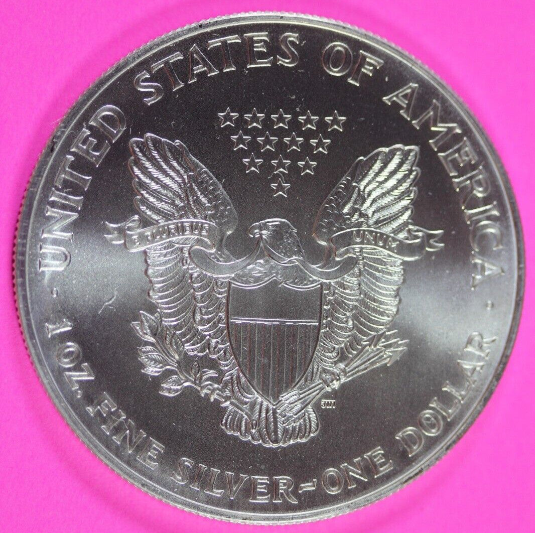 Colorized 1999 American Silver Eagle 1 Ounce .999 Fine Exact Coin Shown 170