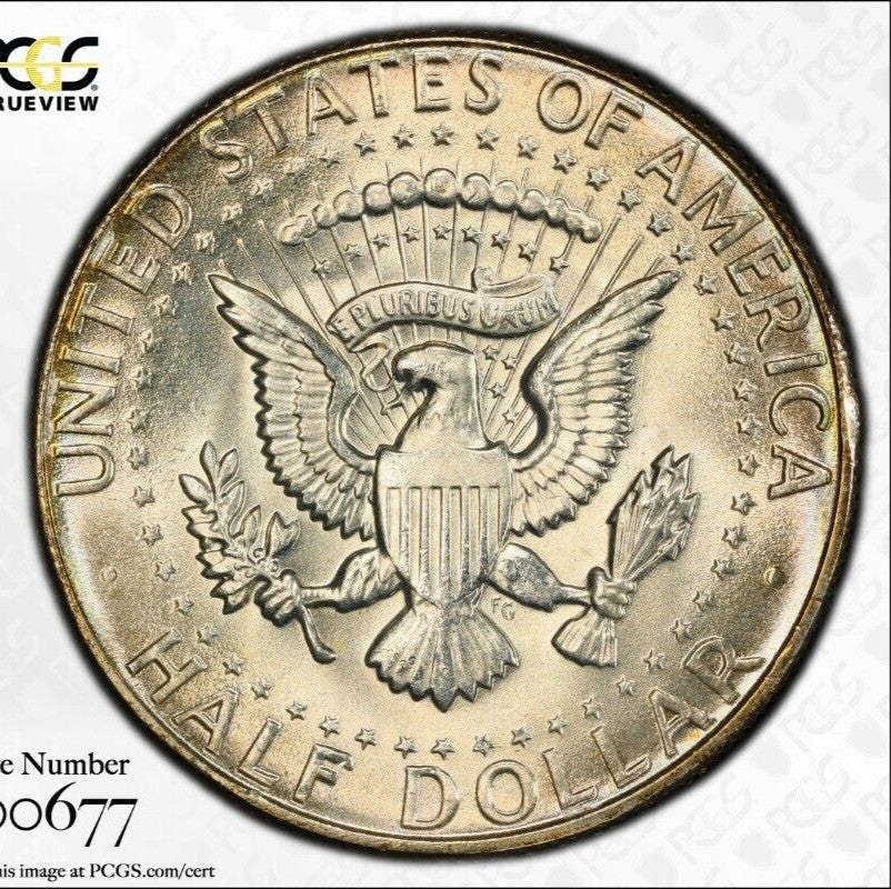 Toned 1969 D Silver MS 65 John F Kennedy Silver Half Dollar PCGS Graded Slab 152