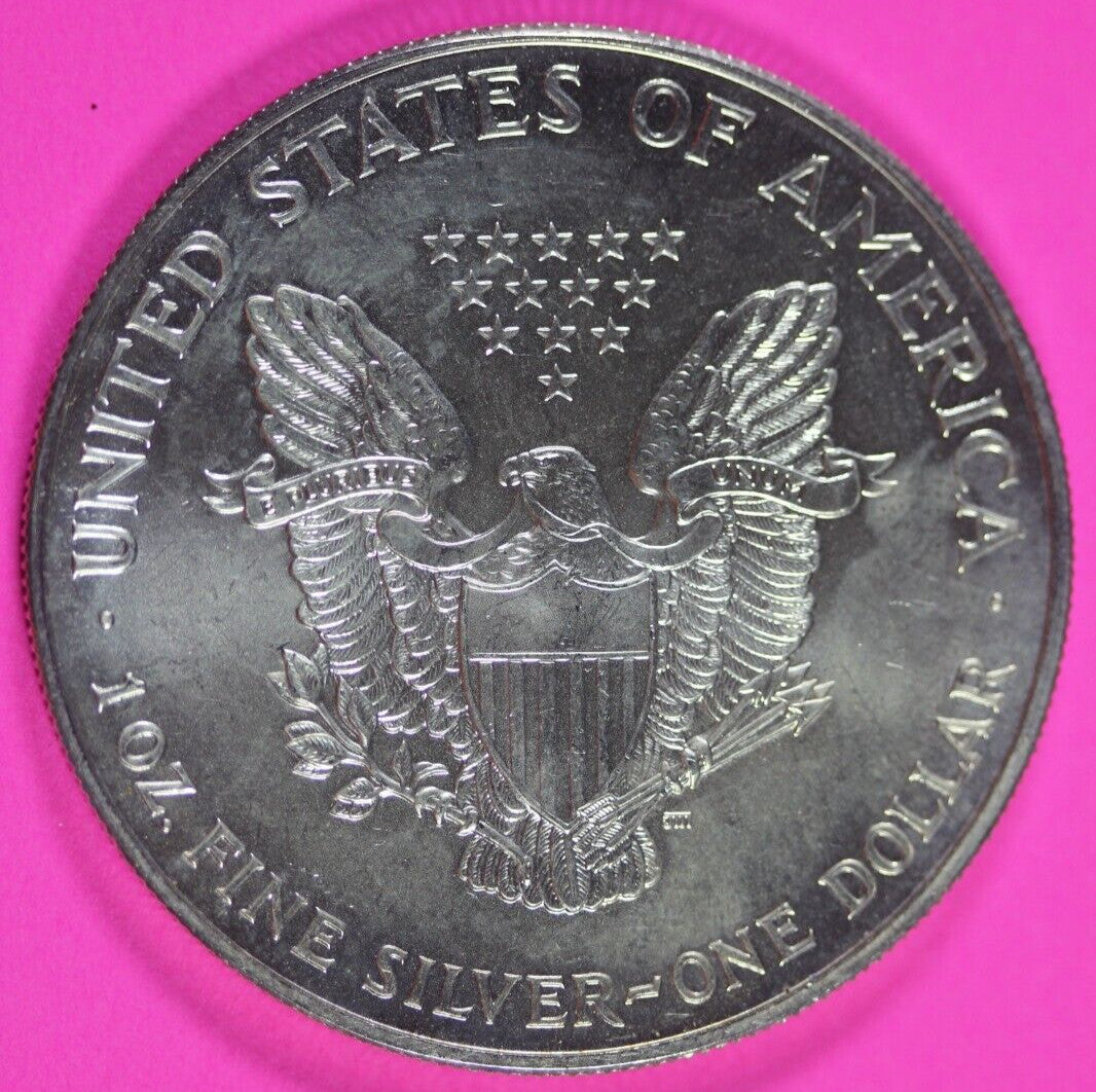 Colorized 1999 American Silver Eagle 1 Ounce .999 Fine Exact Coin Shown 174