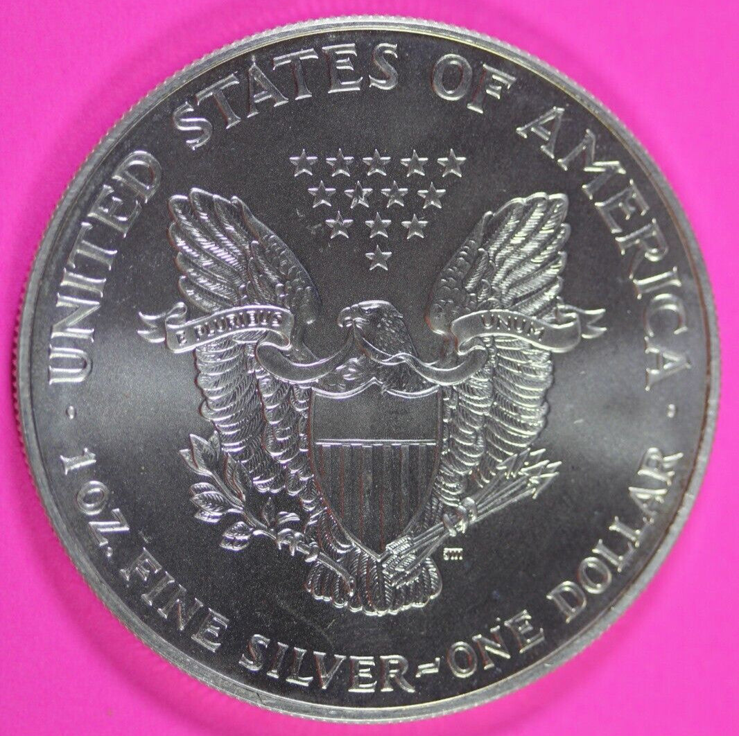 Colorized 2000 American Silver Eagle 1 Ounce .999 Fine Exact Coin Shown 154