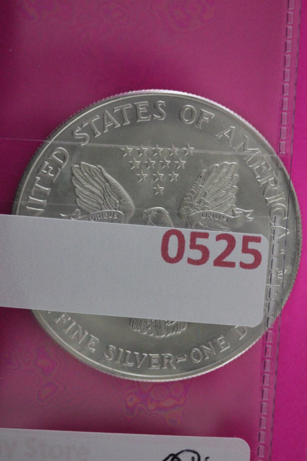 Colorized 1999 American Silver Eagle 1 Ounce .999 Fine Exact Coin Shown N0525