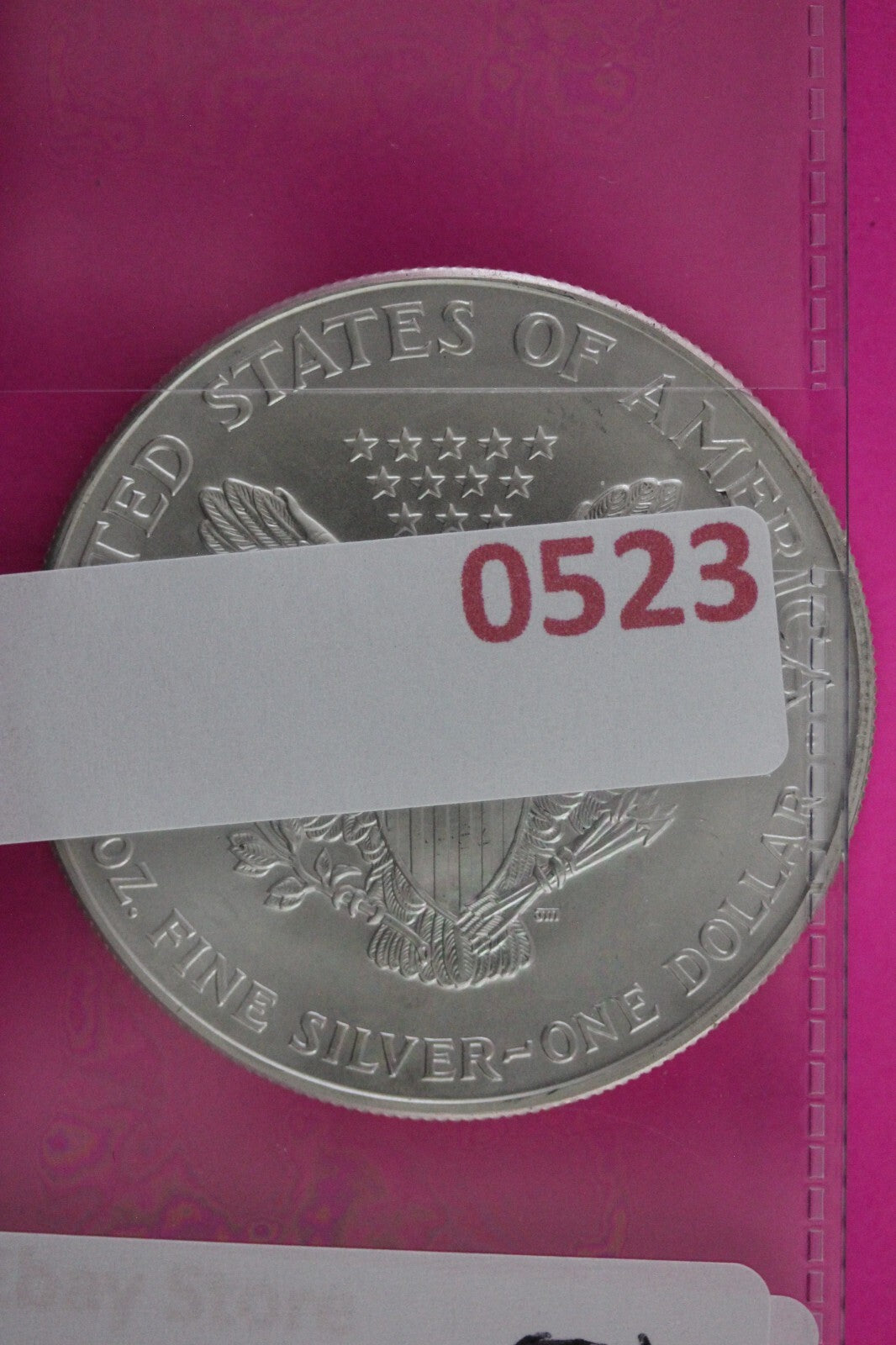 Colorized 2000 American Silver Eagle 1 Ounce .999 Fine Exact Coin Shown N0523