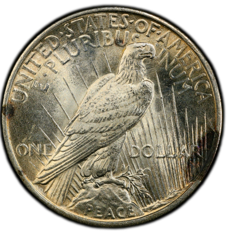 Toned 1925 P MS 62 Peace Silver Dollar PCGS Graded Certified Authentic Slab 375