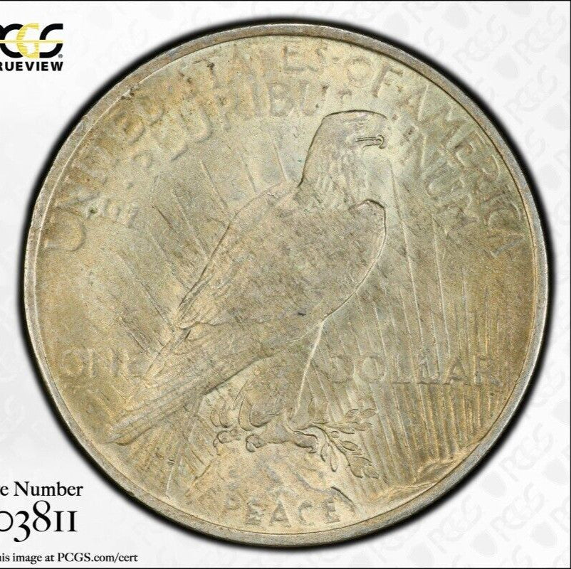 Toned 1923 P MS 64 Peace Silver Dollar PCGS Graded Certified Authentic Slab 49