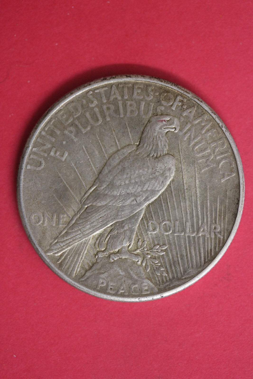 TONED 1925 P Liberty Peace Silver Dollar Exact Coin Combined Shipping OCE 101