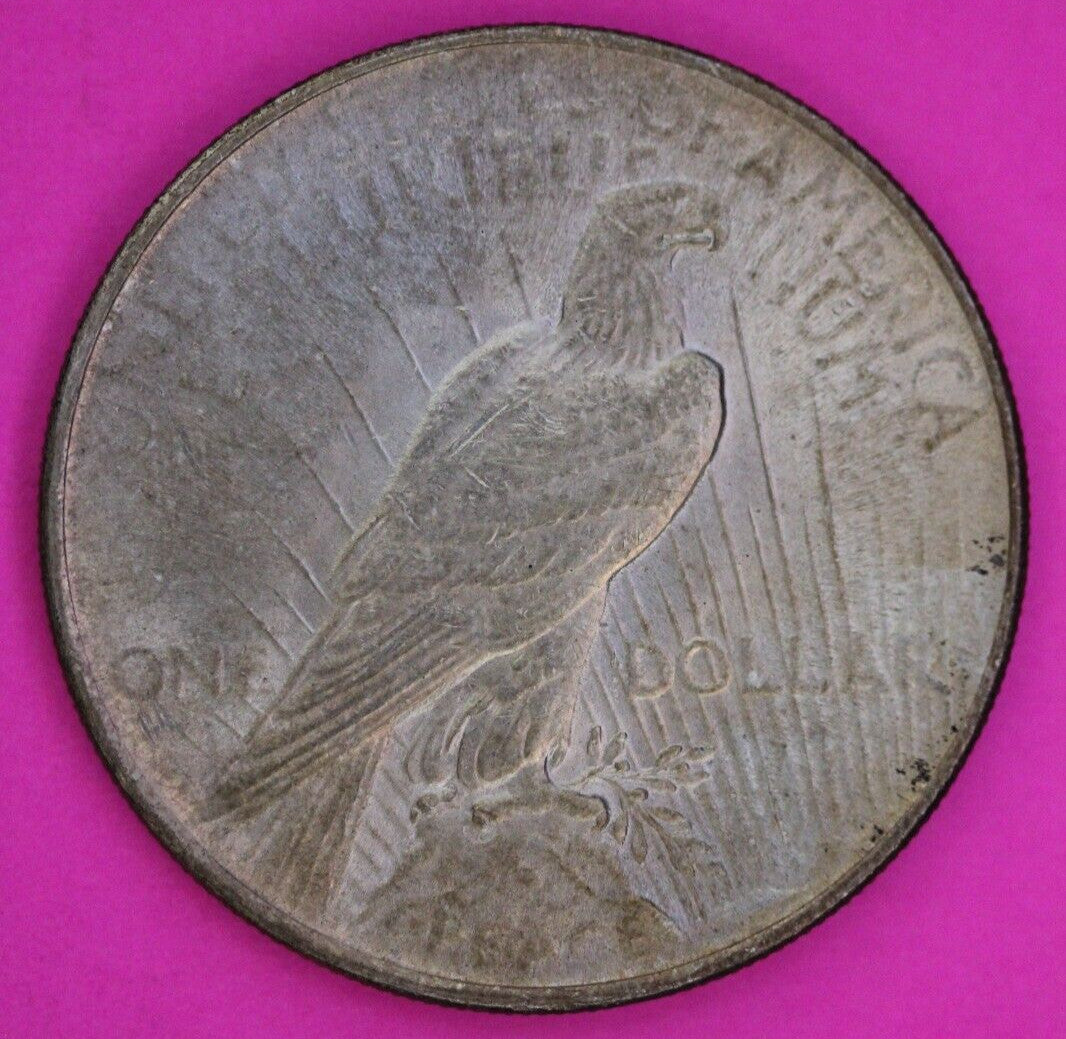 Toned High Grade 1924 P Liberty Peace Silver Dollar Philadelphia Mint Coin 243