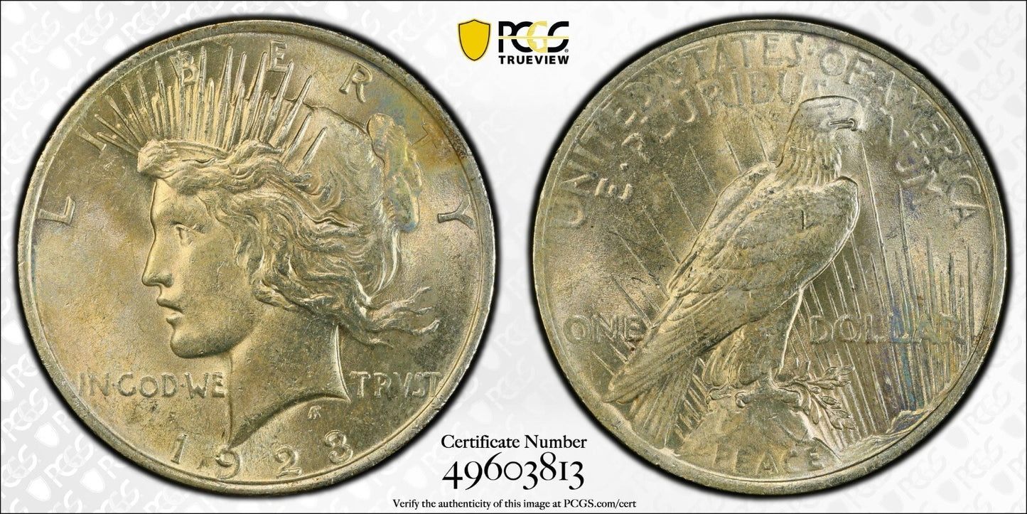Toned 1923 P MS 63 Peace Silver Dollar PCGS Graded Certified Authentic Slab 52