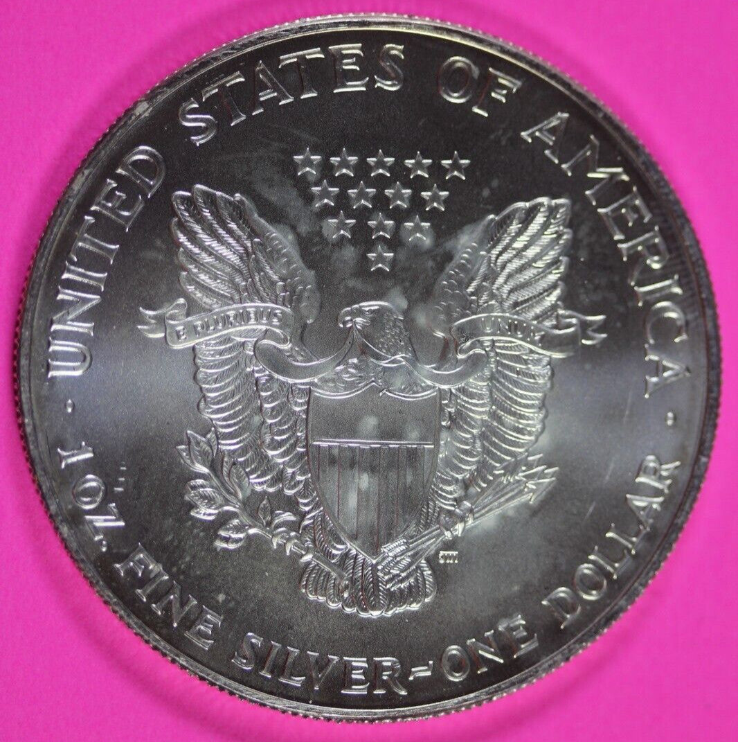 Colorized 2001 American Silver Eagle 1 Ounce .999 Fine Exact Coin Shown 179