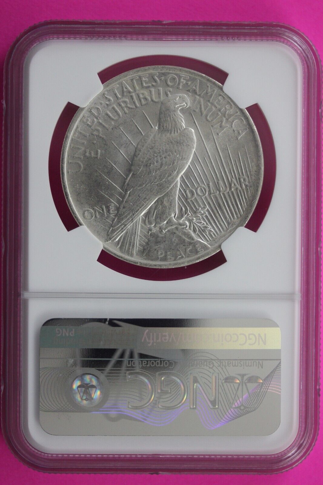 1923 P MS 62 Liberty Peace Silver Dollar NGC Certified Authentic Graded Slab 710