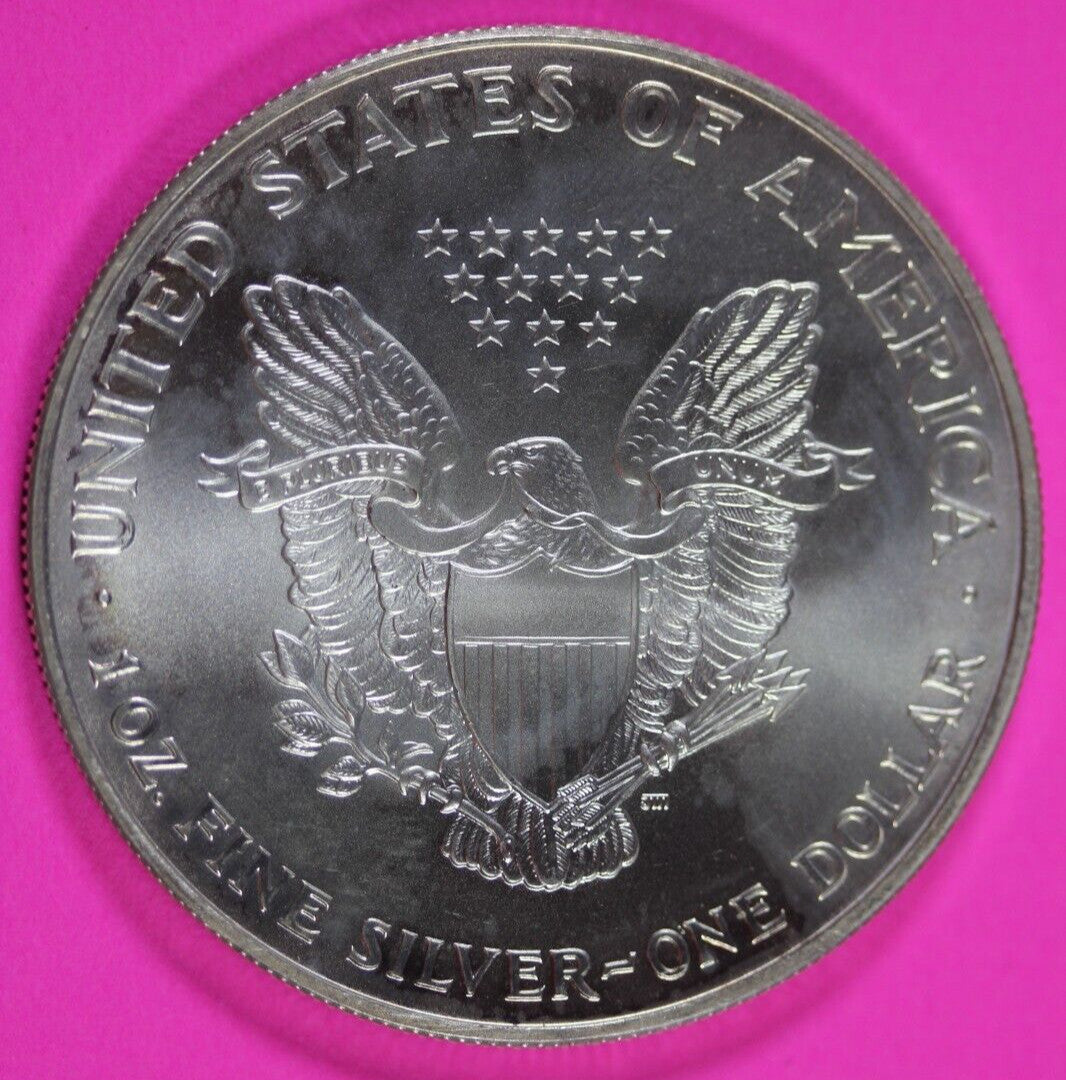 Colorized 2000 American Silver Eagle 1 Ounce .999 Fine Exact Coin Shown 162