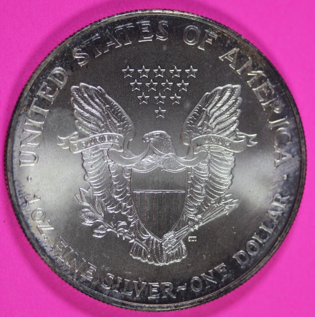 Colorized 2000 American Silver Eagle 1 Ounce .999 Fine Exact Coin Shown 167