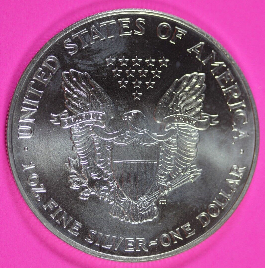 Colorized 2000 American Silver Eagle 1 Ounce .999 Fine Exact Coin Shown 177