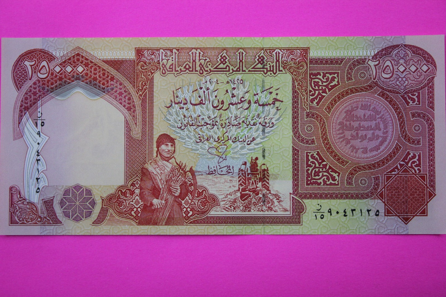 2003 25,000 Dinar Iraq Central Bank Crisp Uncirculated You Get Note in Pics 06