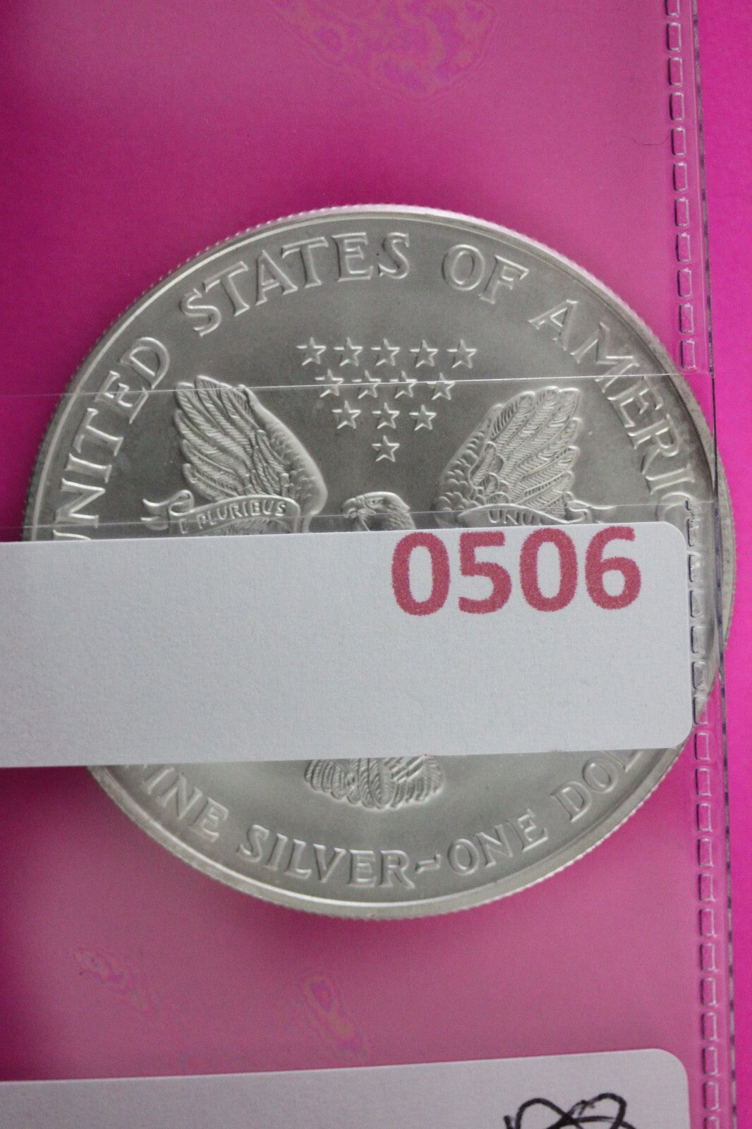 Colorized 1999 American Silver Eagle 1 Ounce .999 Fine Exact Coin Shown N0506