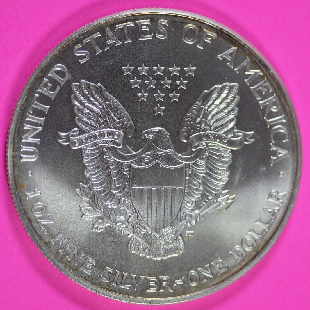 Colorized 1999 American Silver Eagle 1 Ounce .999 Fine Exact Coin Shown 157