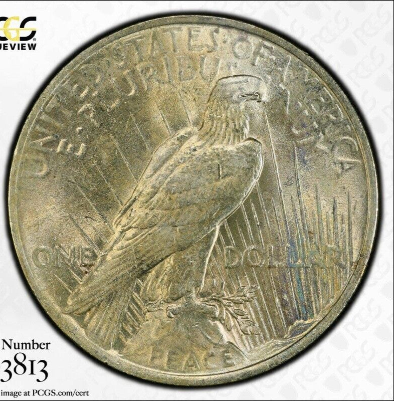 Toned 1923 P MS 63 Peace Silver Dollar PCGS Graded Certified Authentic Slab 52
