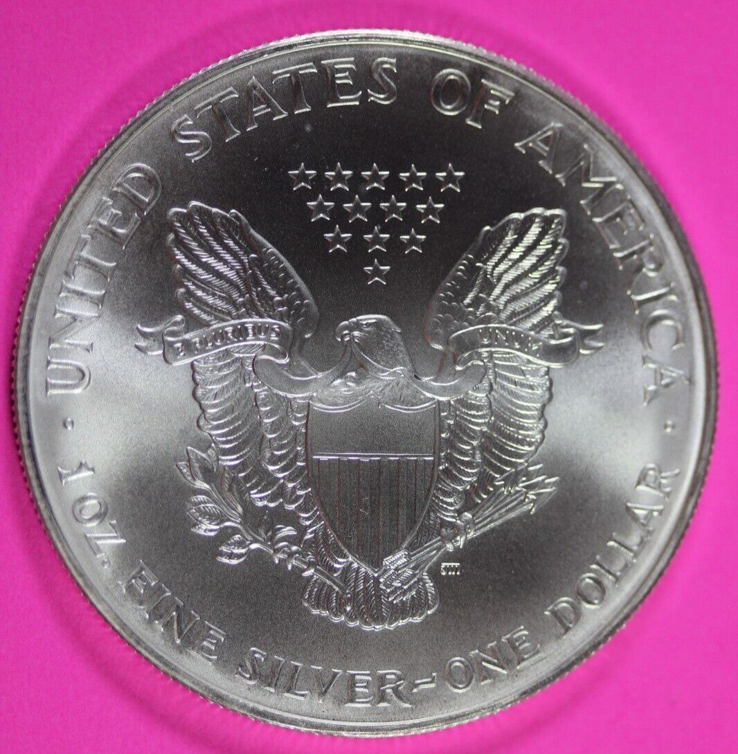 Colorized 2000 American Silver Eagle 1 Ounce .999 Fine Exact Coin Shown 178