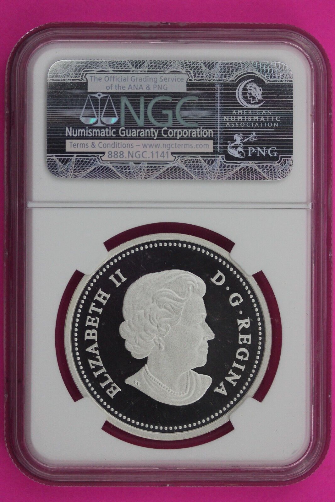 2013 PF 69 Canada The Bald Eagle Protecting Her Nest Early Releases NGC $20 587