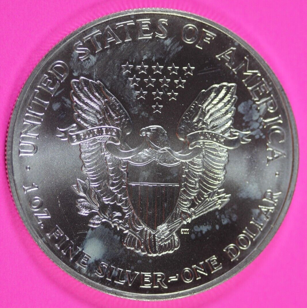 Colorized 2000 American Silver Eagle 1 Ounce .999 Fine Exact Coin Shown 158