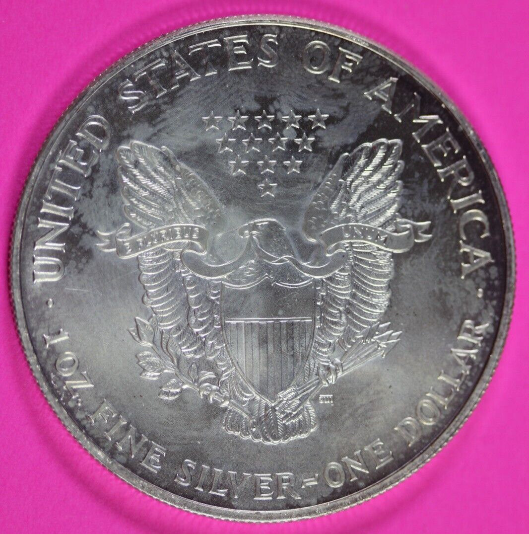 Colorized 1999 American Silver Eagle 1 Ounce .999 Fine Exact Coin Shown 169