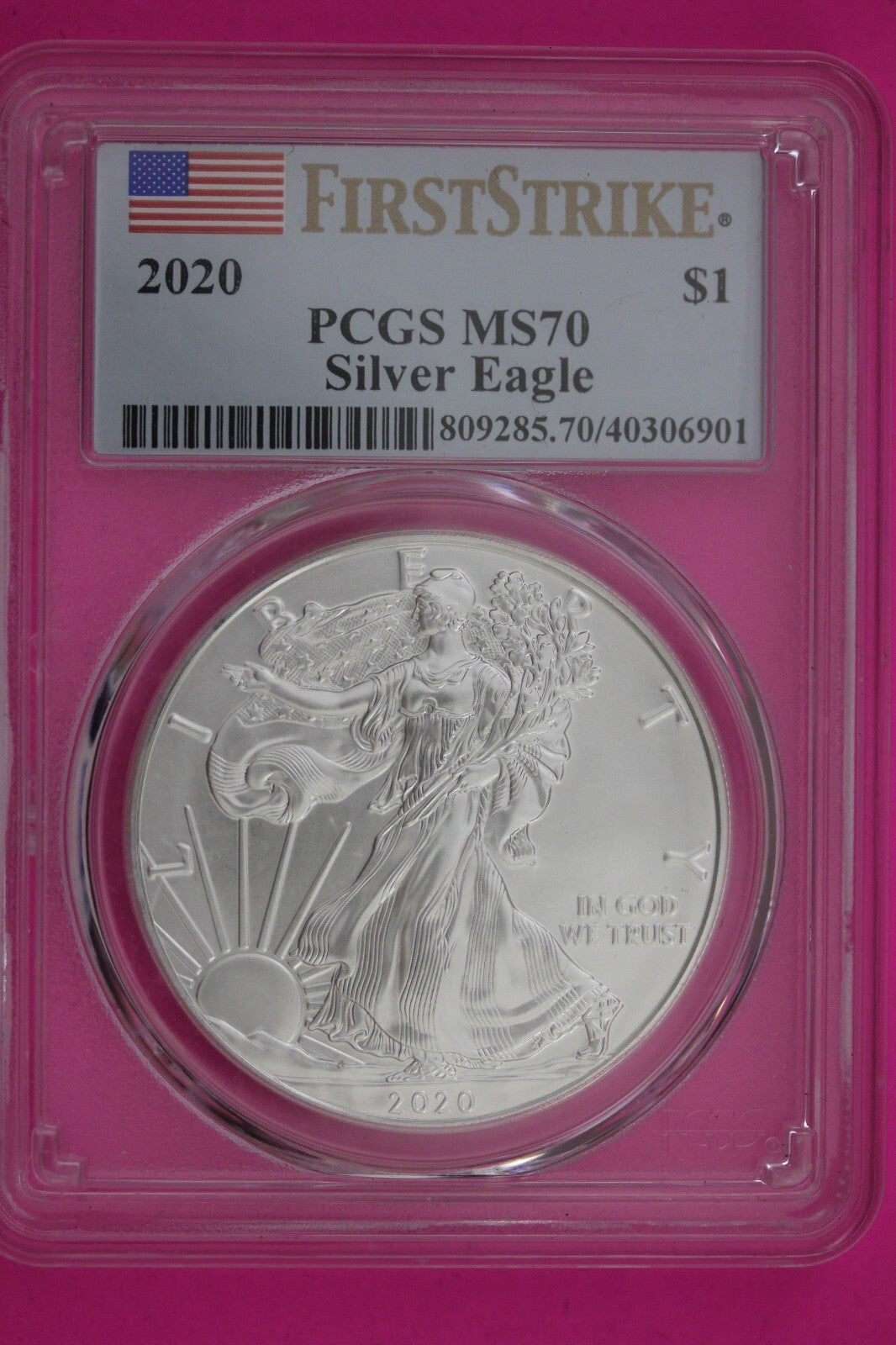 2020 MS 70 Silver Eagle Coin 1 OZ .999 PCGS Certified Graded Authentic Slab 589