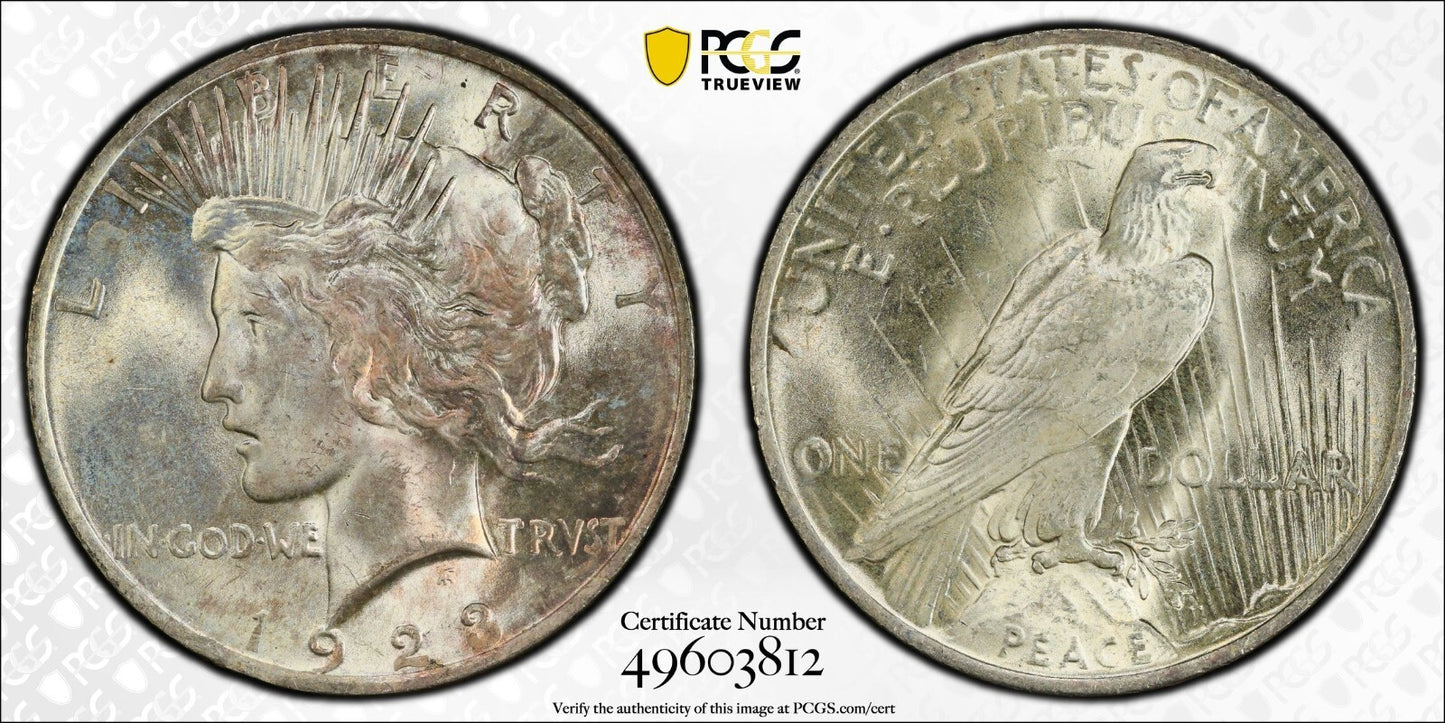Toned 1923 P MS 63 Peace Silver Dollar PCGS Graded Certified Authentic Slab 51