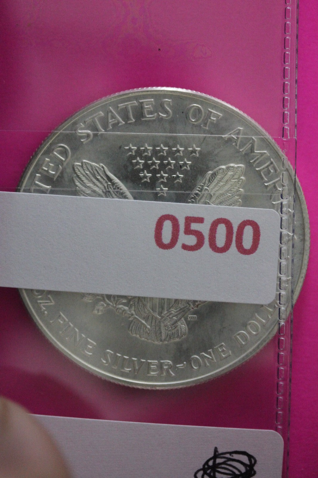 Colorized 1999 American Silver Eagle 1 Ounce .999 Fine Exact Coin Shown N0500