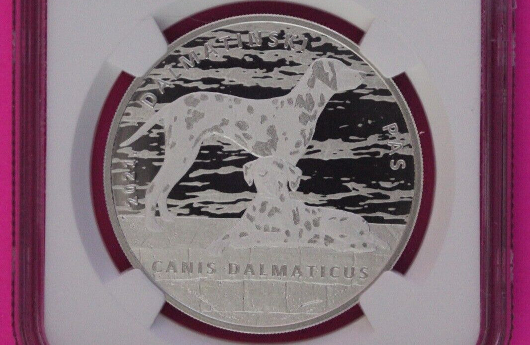 2021 Dalmation Dog MS 69 Croatia 10k Kuna 1 OZ Silver NGC Certified Slab 1098