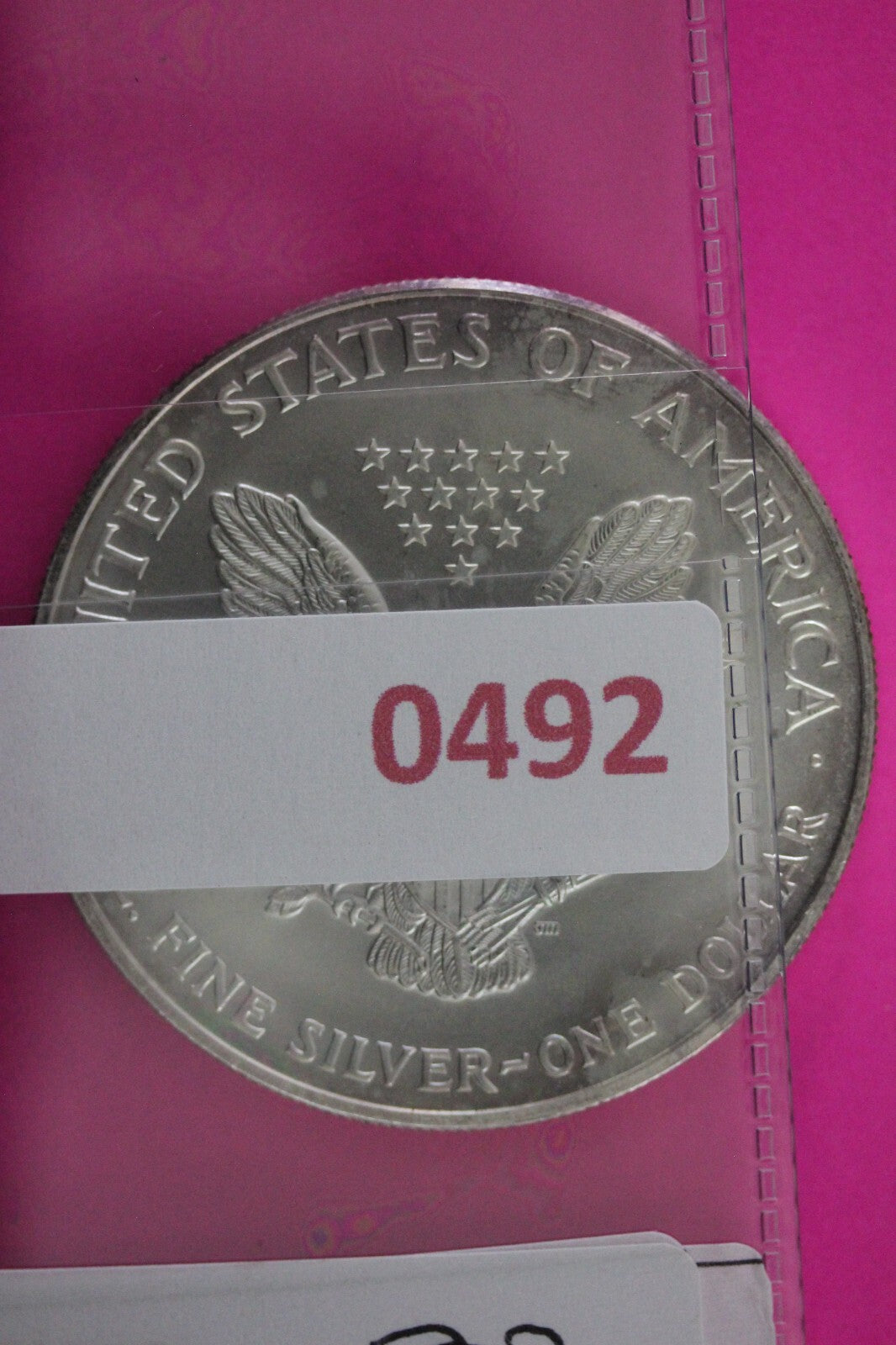 Colorized 1999 American Silver Eagle 1 Ounce .999 Fine Exact Coin Shown N0492