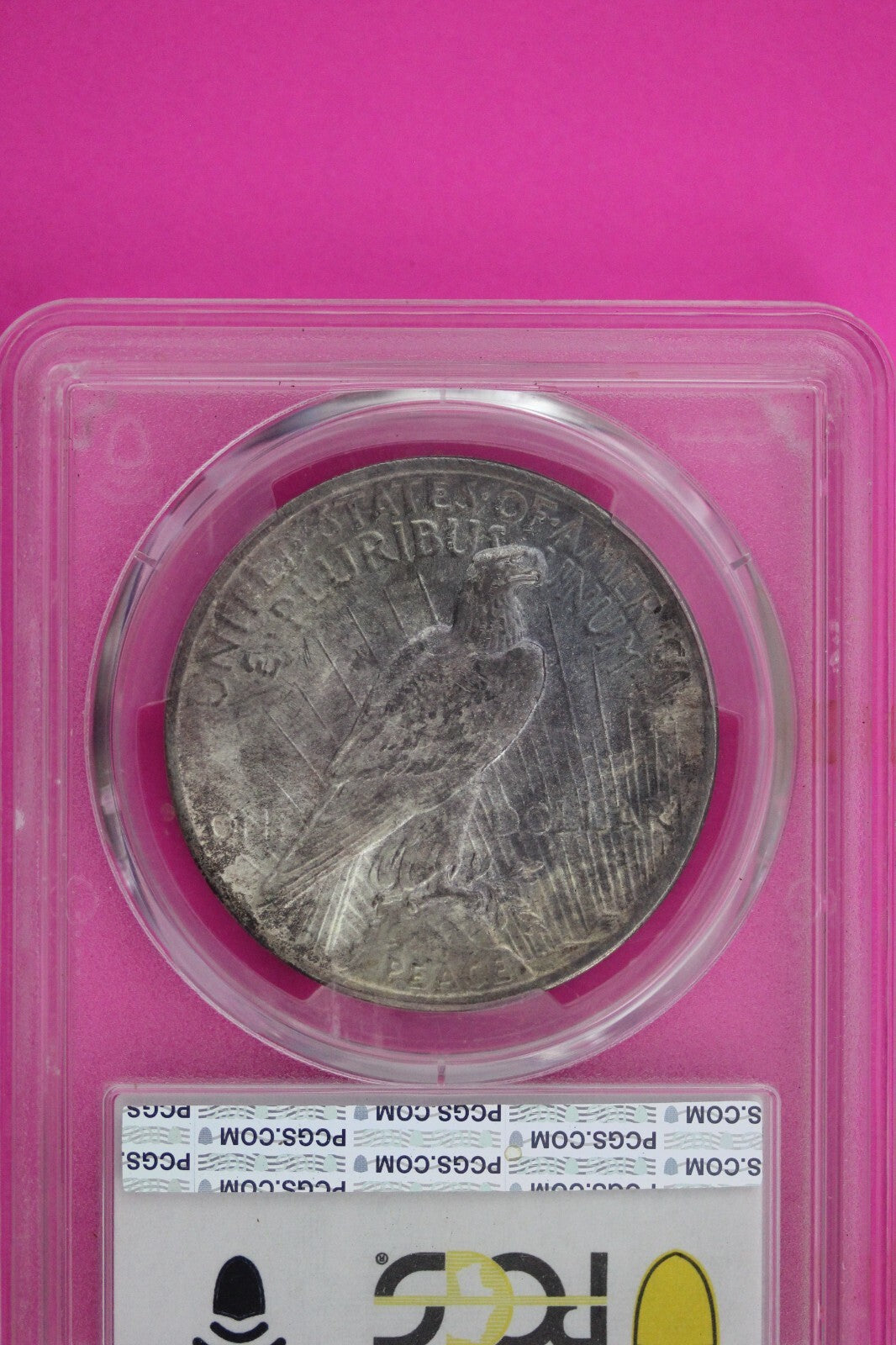 Toned 1923 P MS 65 Peace Silver Dollar PCGS Graded Certified Authentic Slab 499