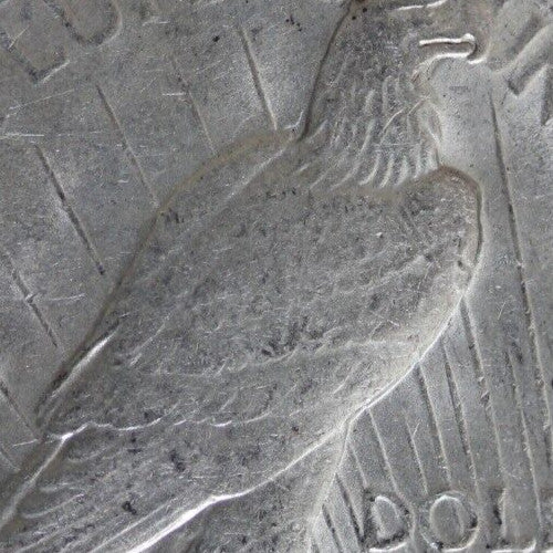 High Grade 1923 S Liberty Peace Silver Dollar San Francisco Mint Nice Luster 156