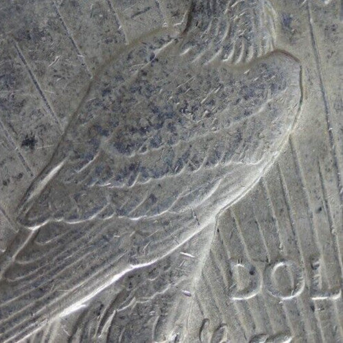 Gold Toned 1923 P Liberty Peace Silver Dollar Exact Coin Shown Better Grade 114