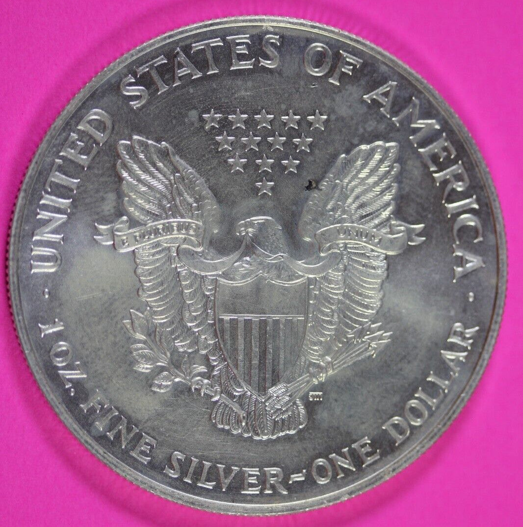 Colorized 1999 American Silver Eagle 1 Ounce .999 Fine Exact Coin Shown 163
