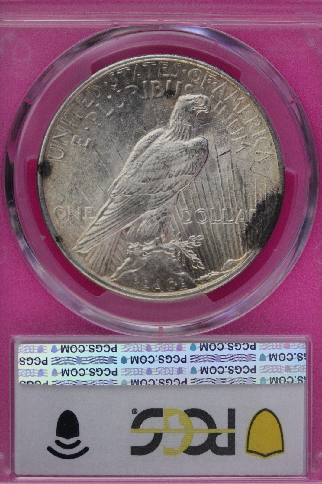 Toned 1925 P MS 62 Peace Silver Dollar PCGS Graded Certified Authentic Slab 375