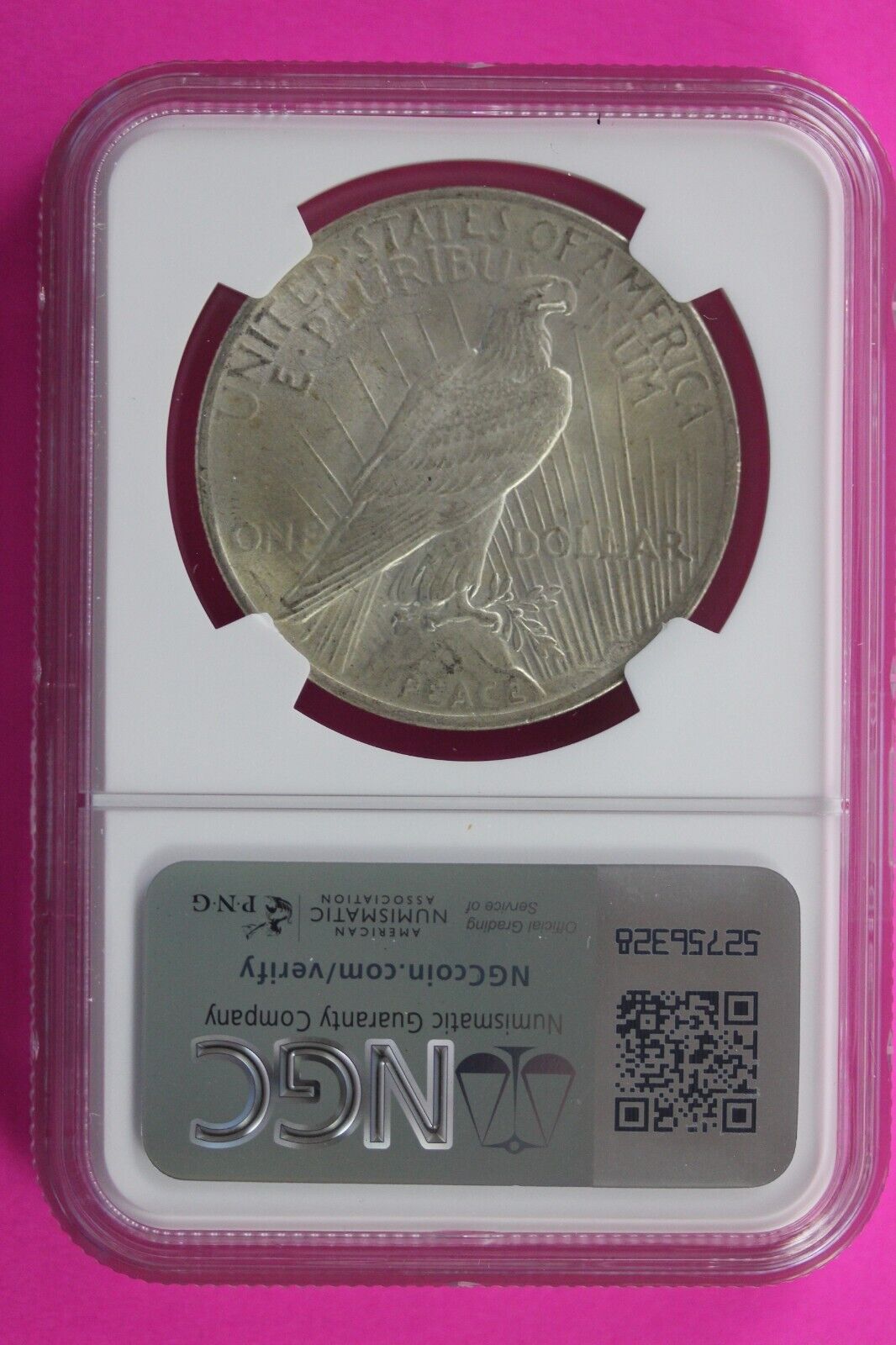 1925 P MS 63 Liberty Peace Silver Dollar NGC Certified Authentic Graded Slab 131