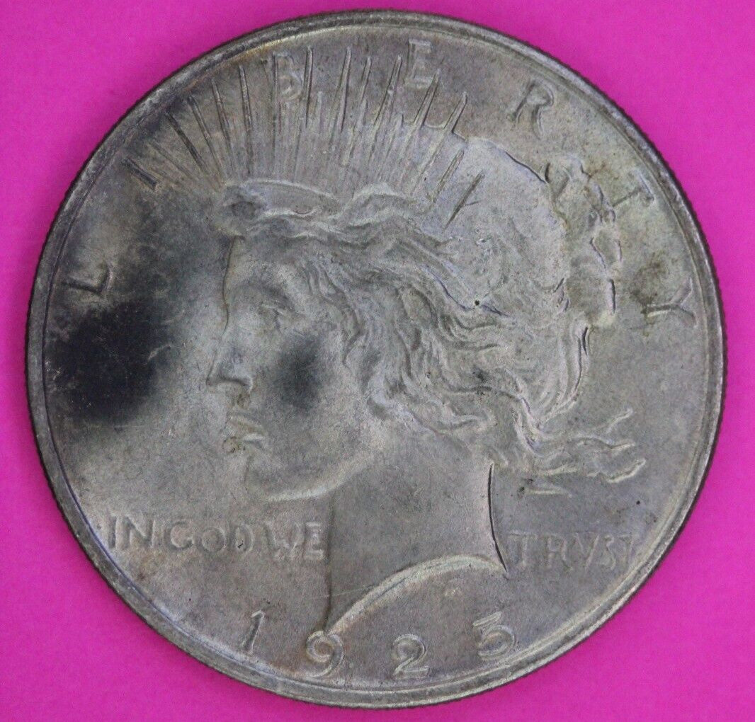 Toned High Grade 1925 P Liberty Peace Silver Dollar Philadelphia Mint Coin 233